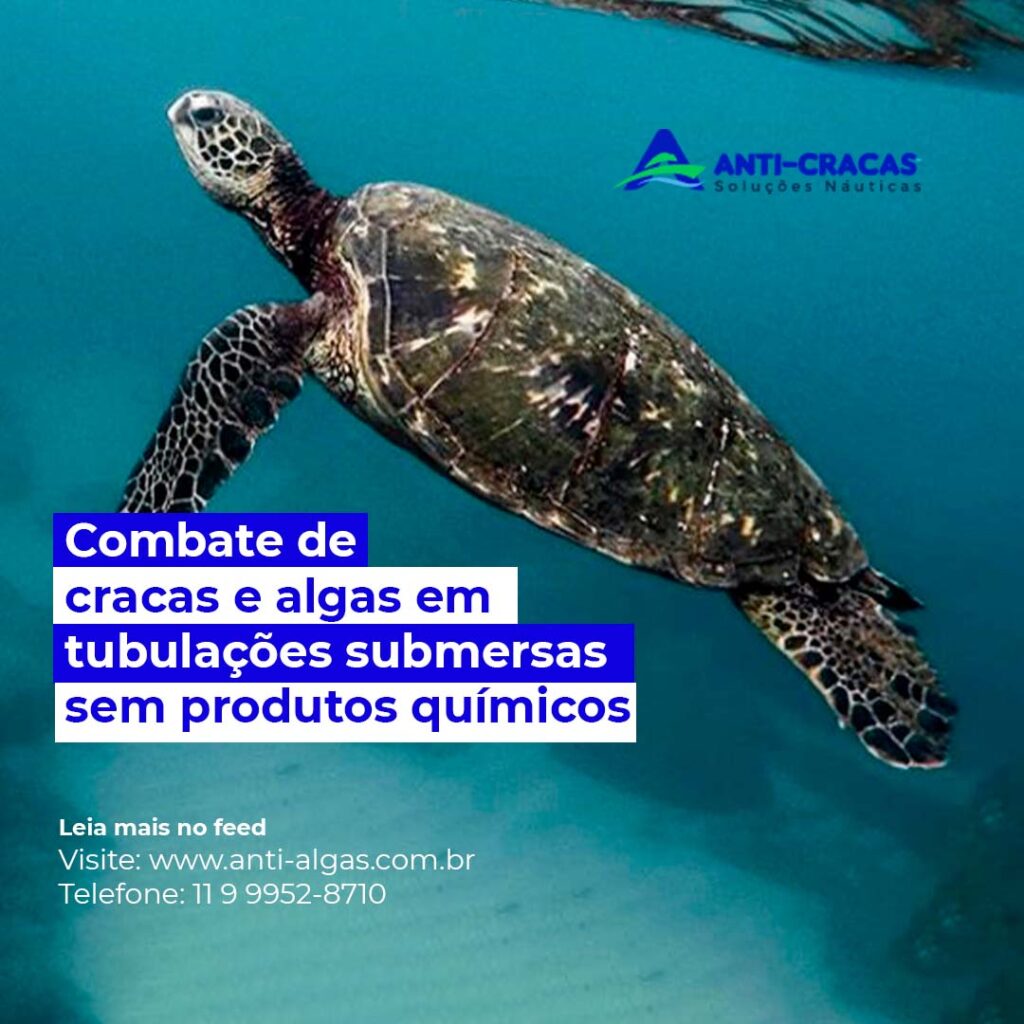 Combate de cracas e algas em tubulações submersas sem produtos químicos