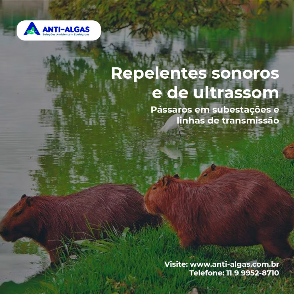 Repelentes sonoros e de ultrassom