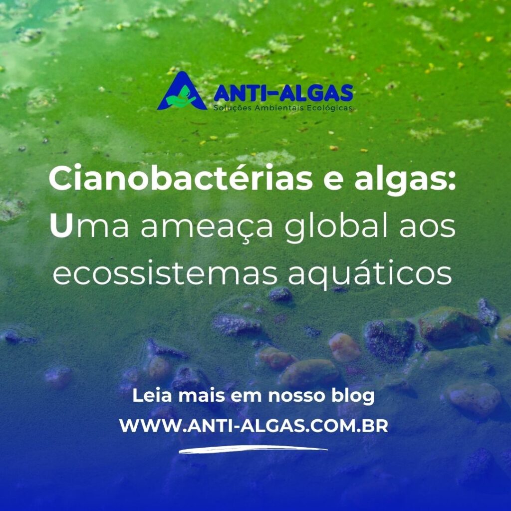 Cianobactérias e algas: uma ameaça global aos ecossistemas aquático