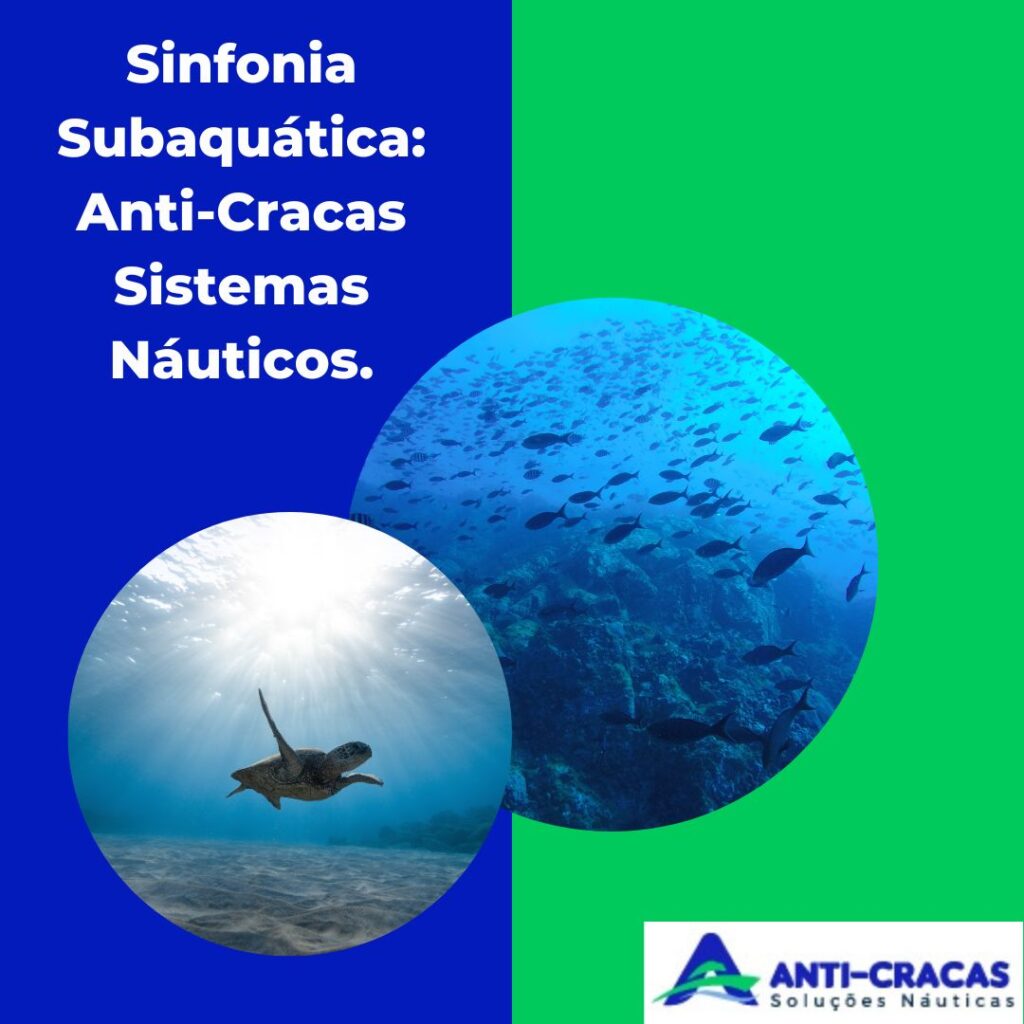 Sinfonia Subaquática: Anti-Cracas Sistemas Náuticos não afeta a flora e fauna local