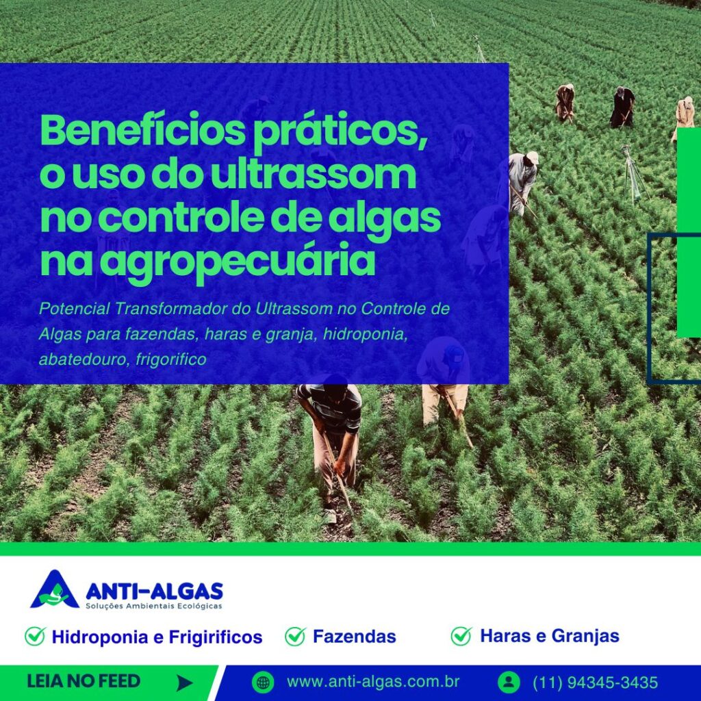 O Potencial Transformador do Ultrassom no Controle de Algas na Agropecuária
